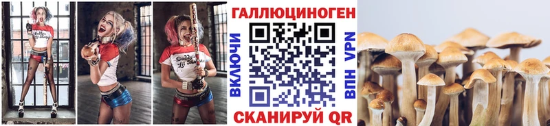 Галлюциногенные грибы прущие грибы  Купить  Таштагол 